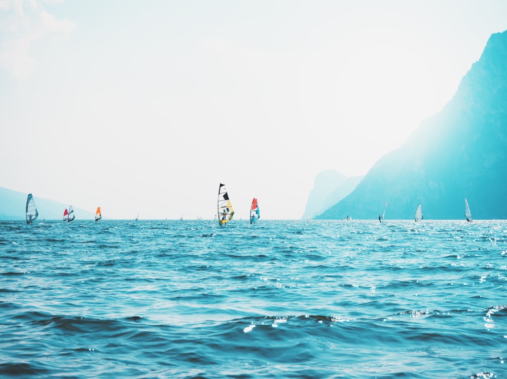 wind surfers on body of water