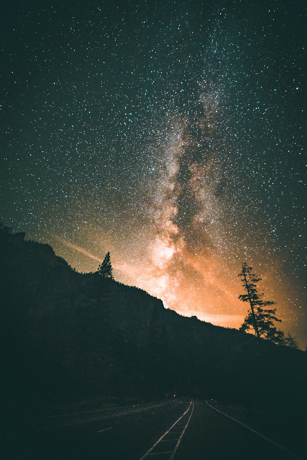 silhouette d’un grand arbre pendant la nuit