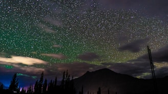 photo of stars during nighttime