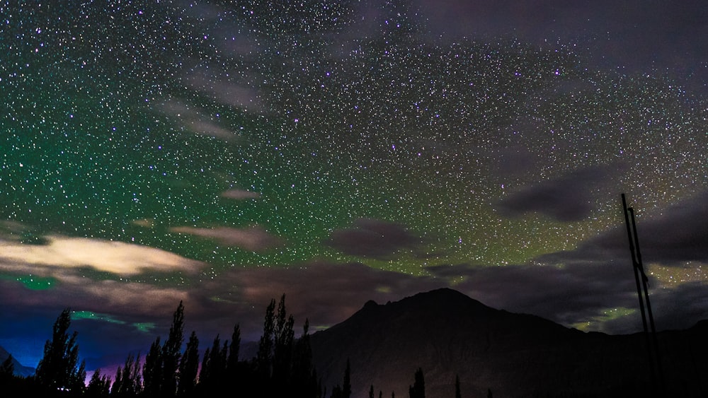 photo of stars during nighttime