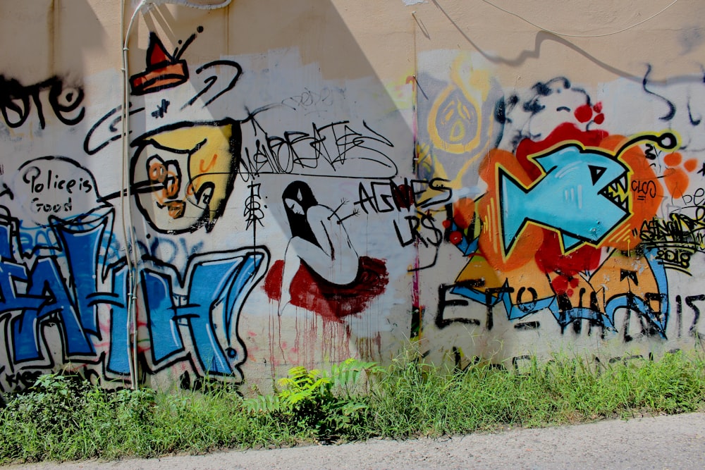 multicolored graffiti wall art