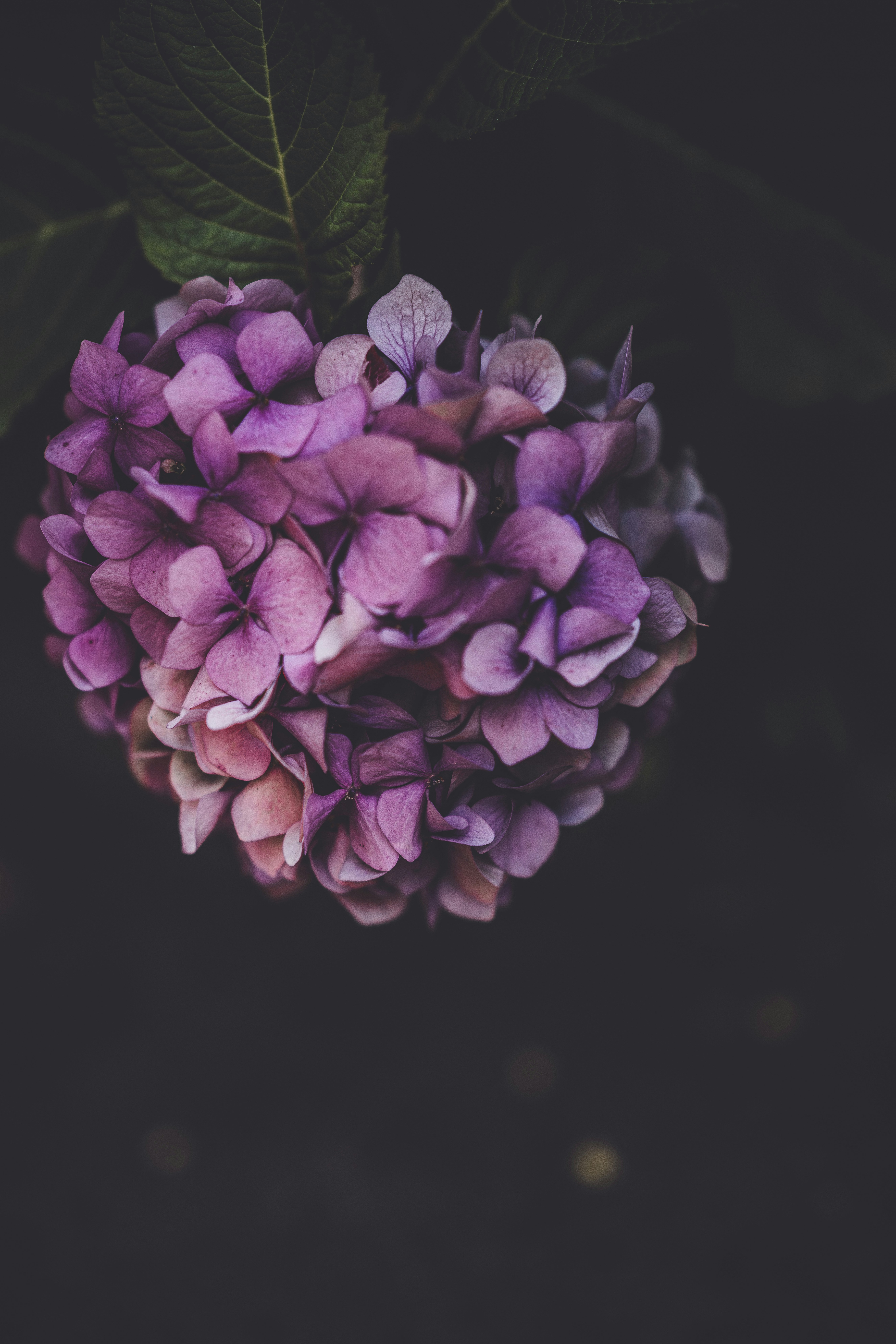 Photo by anniespratt