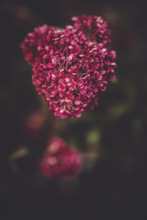 3957. Virágok