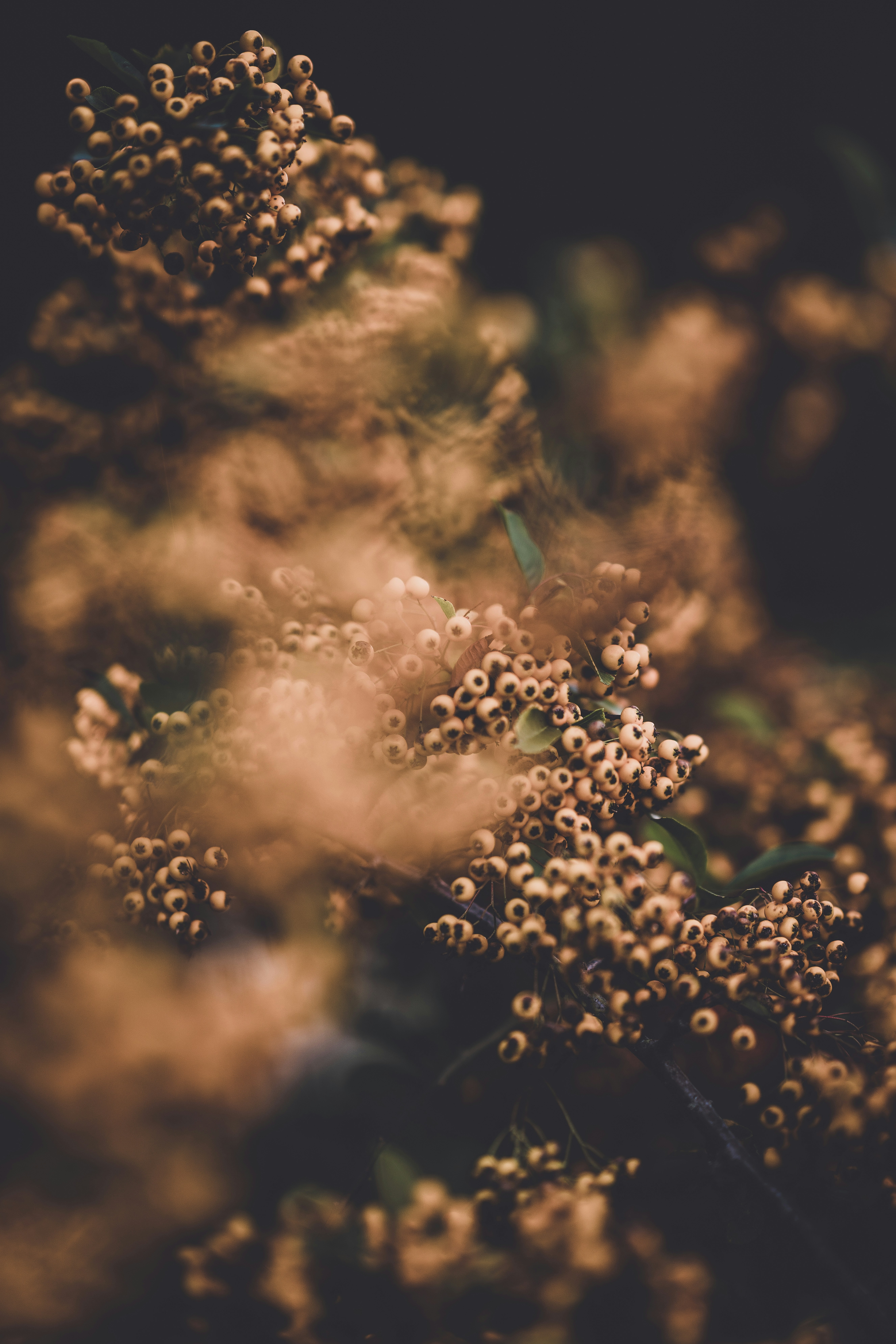 Photo by anniespratt