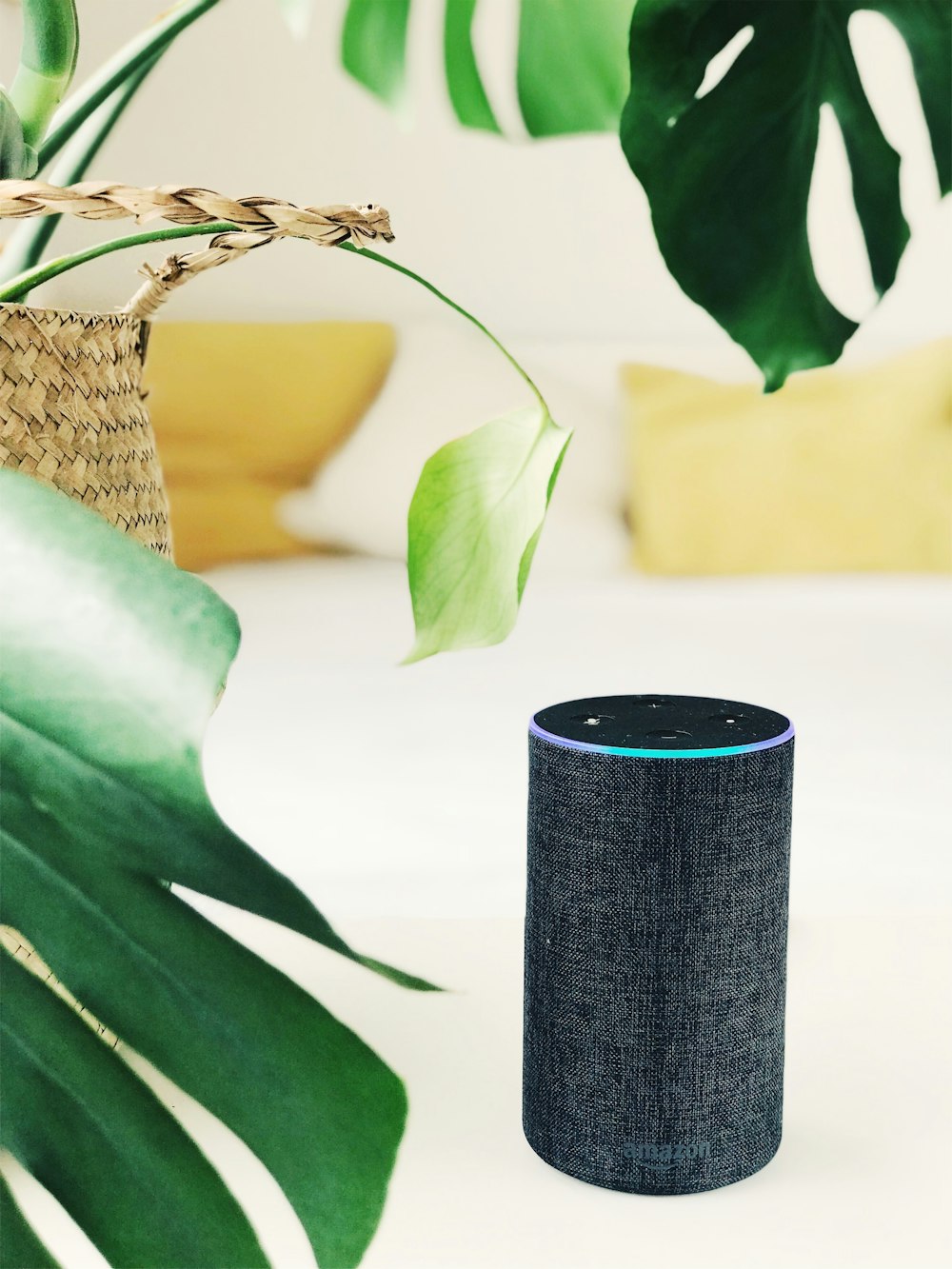 Schwarzer Amazon Echo-Lautsprecher der 2. Generation auf weißem Panel