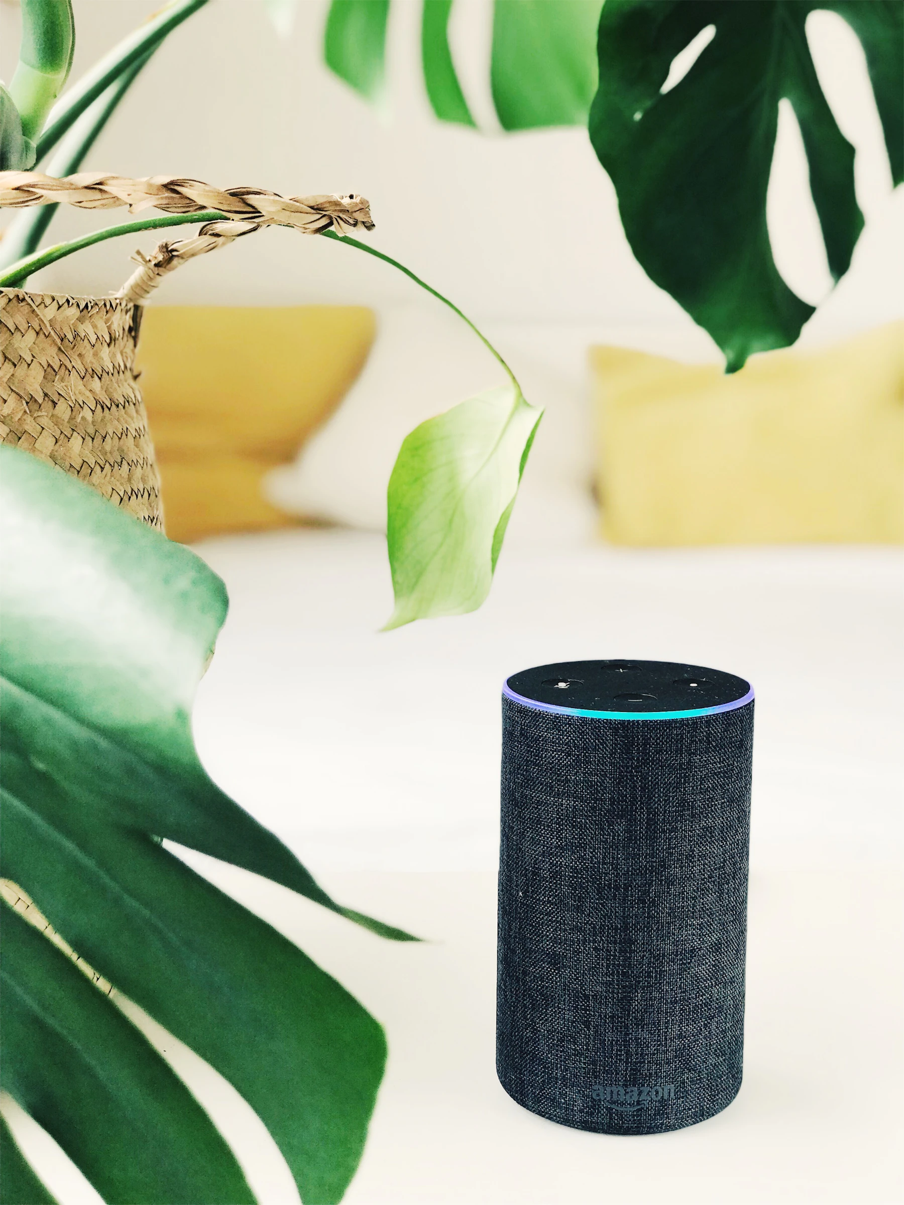 Amazon Echo smart speaker on a white panel