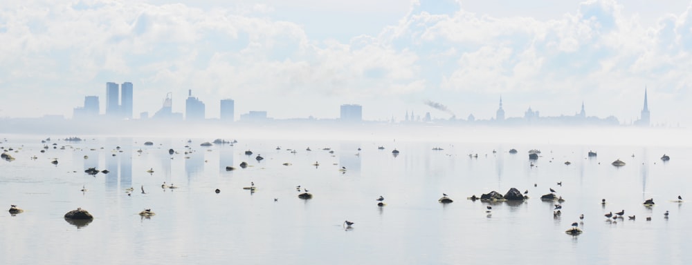 Foto de paisaje del horizonte de la ciudad