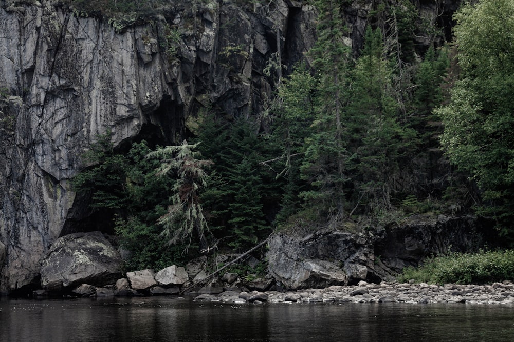 pine trees near rock formation and body of water