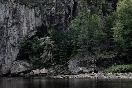 pine trees near rock formation and body of water in Hautes-Gorges-de-la-Rivière-Malbaie National Park Canada