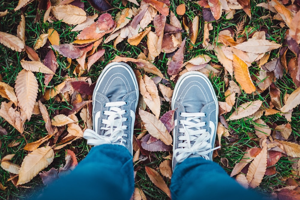 personne debout sur des feuilles séchées à l’extérieur