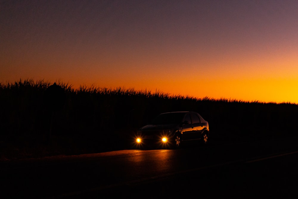 car near trees during sunset