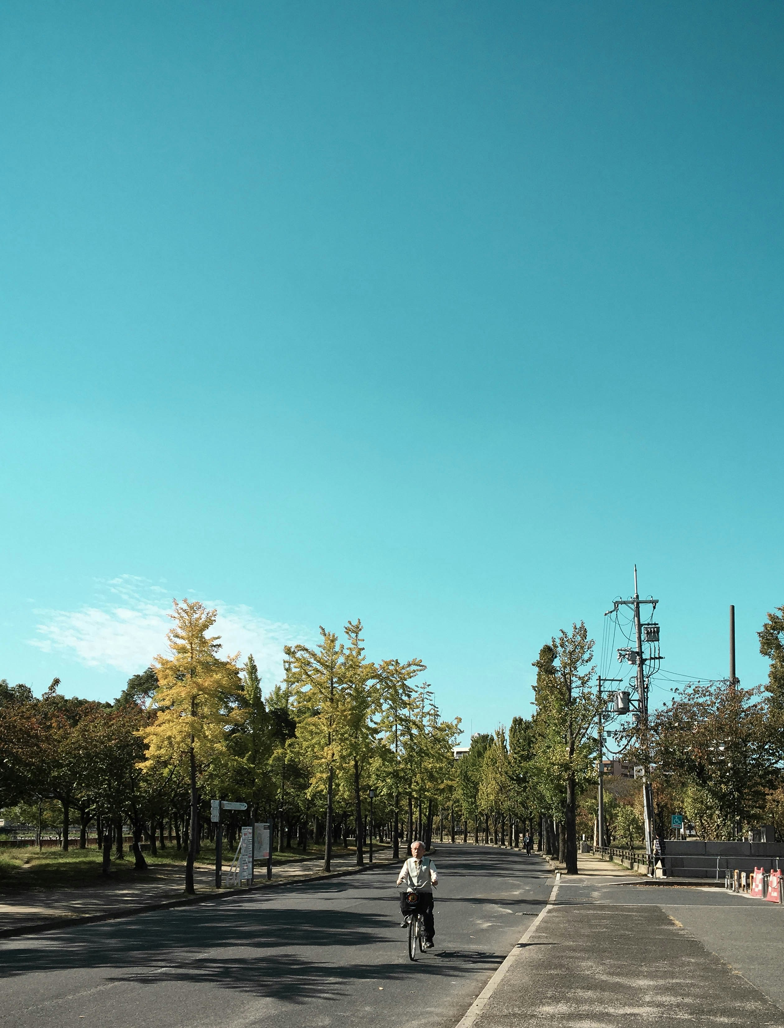 person riding bicycle