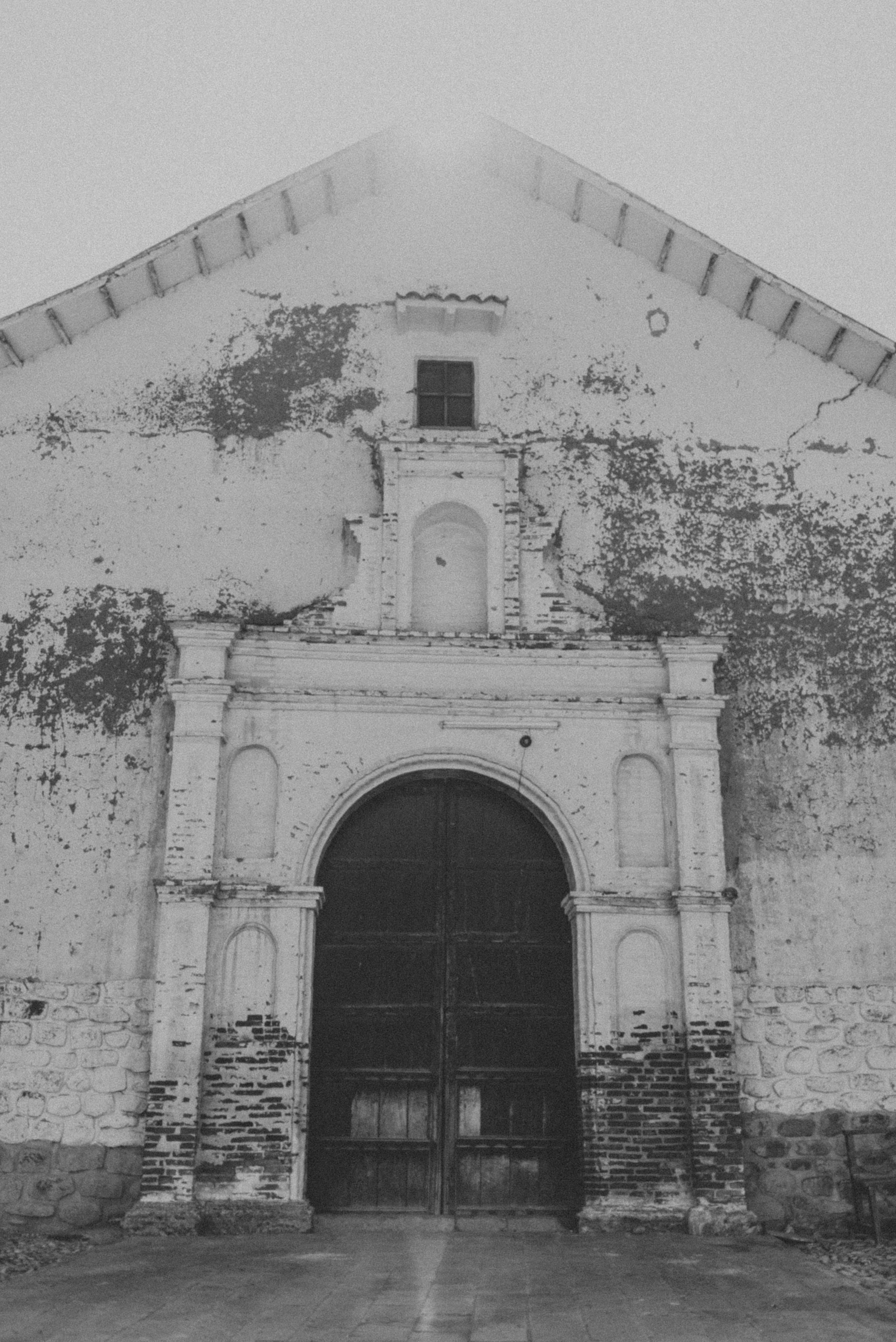 Photo by persnicketyprints