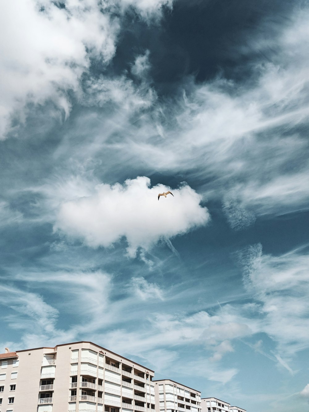 soaring eagle over building