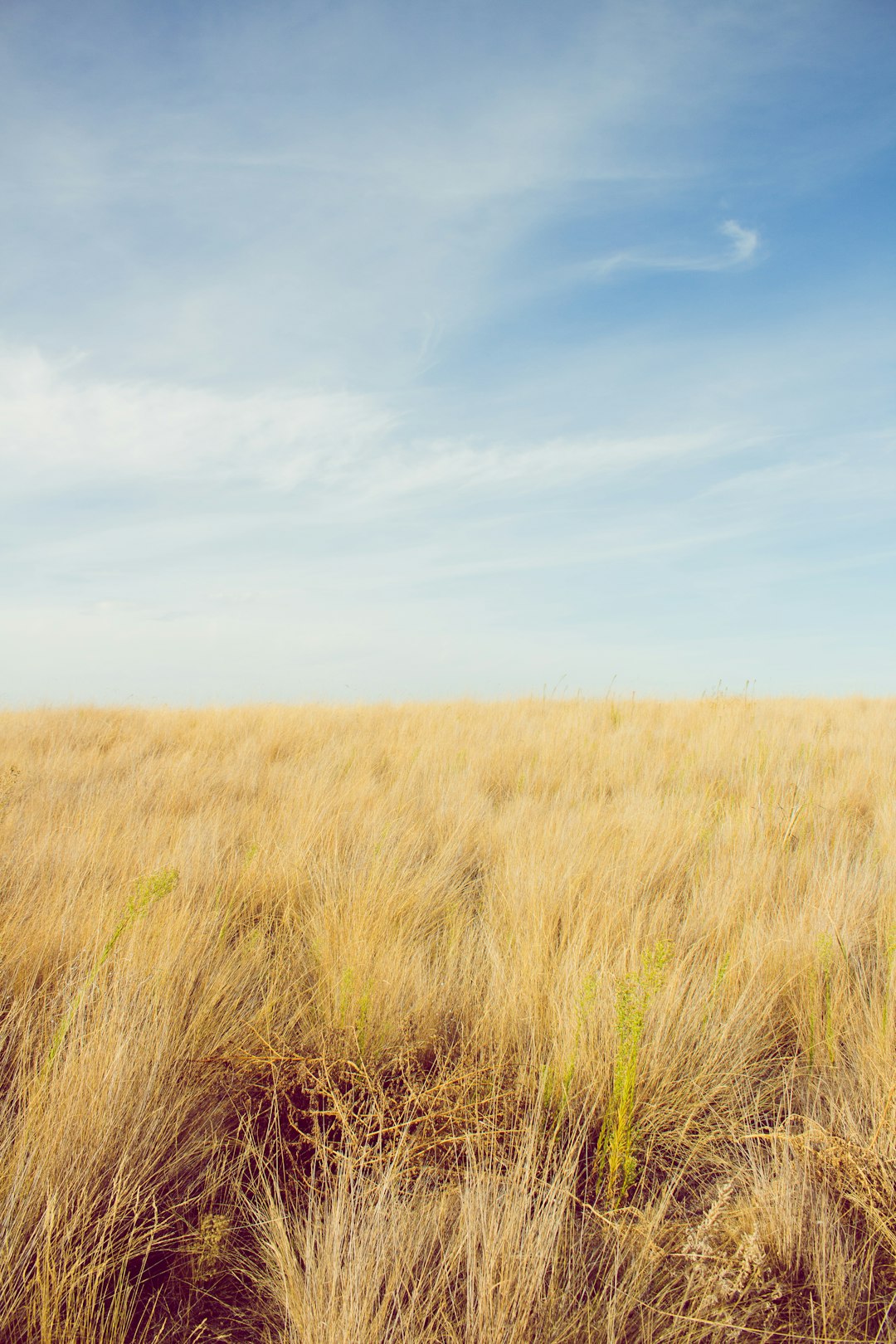 travelers stories about Plain in Whitman Mission National Historic Site, United States