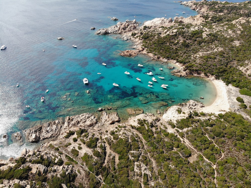 boats on water in aerial view photo