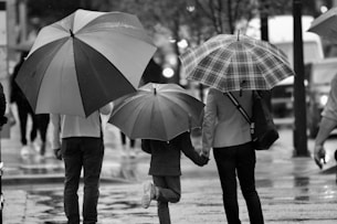 Umbrella Main Page