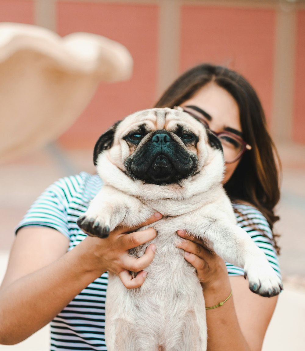 woman holding Pug puppy