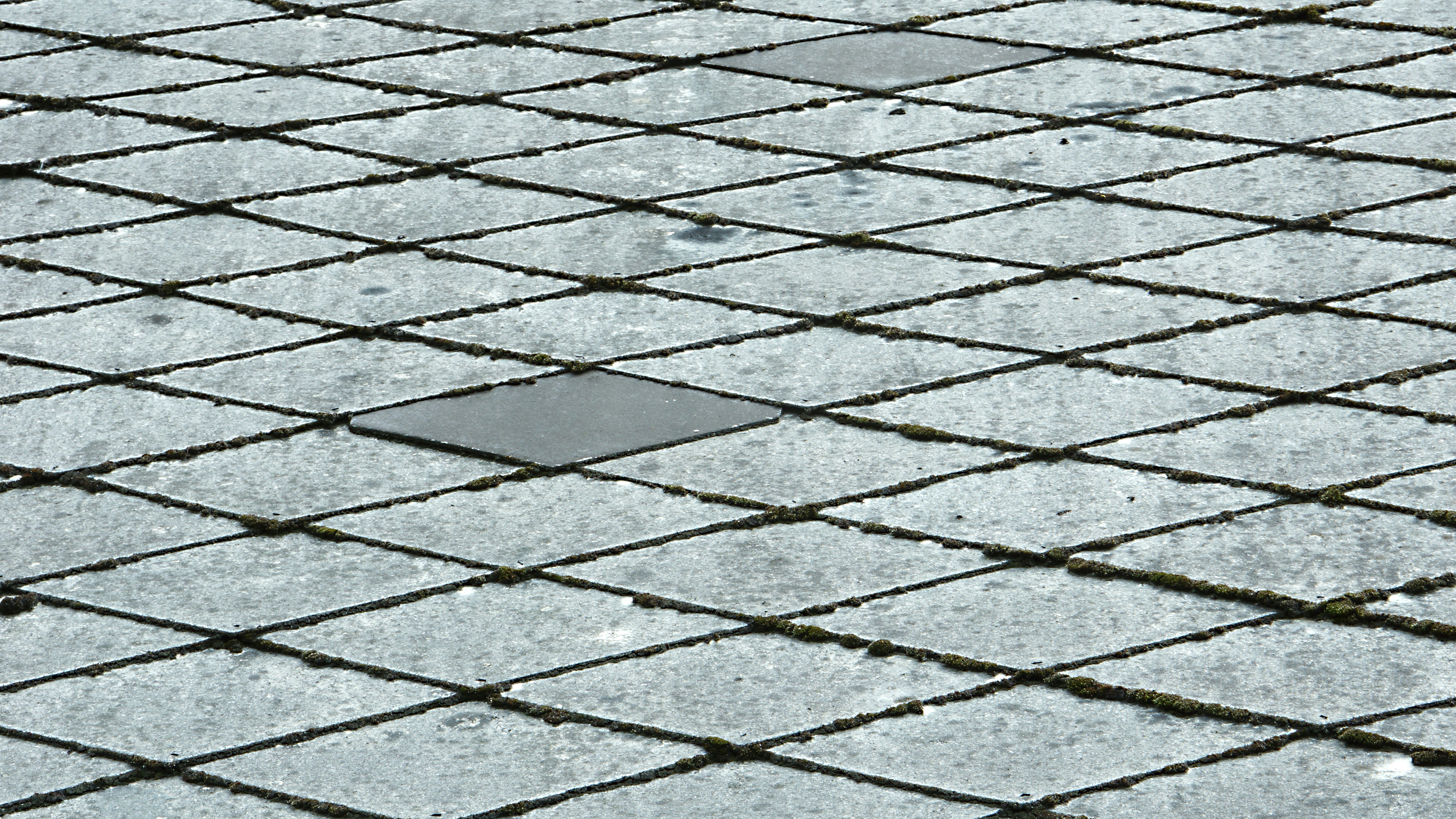 gray concrete pavement