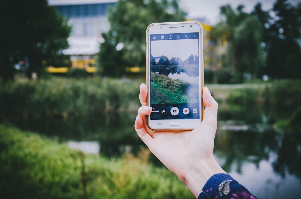 person holding smartphone and capturing trees