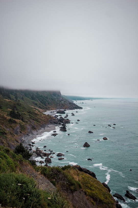 landscape photography of body of water splashing on rocks in Redwood National and State Parks United States