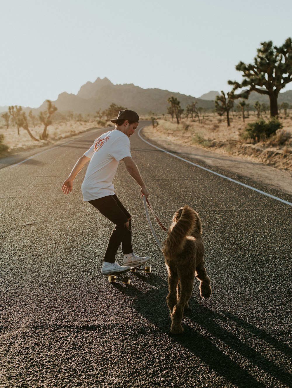 man in skateboard walking dog during daytime