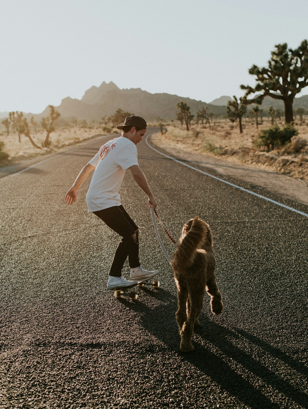 Mann im Skateboard geht tagsüber mit Hund spazieren