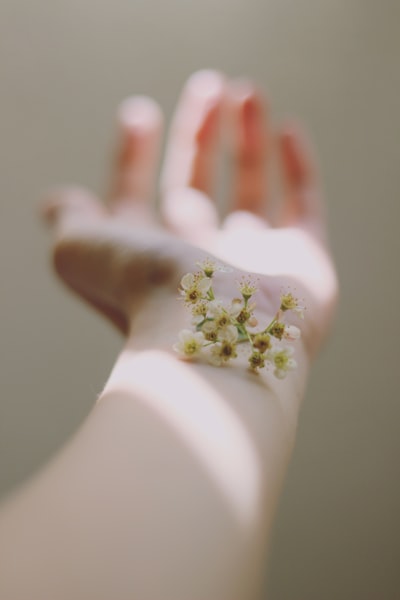 hand with chamomile flowers on the wrist