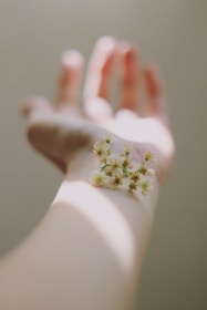 selective focus photography of white clustered flowers on left human hand