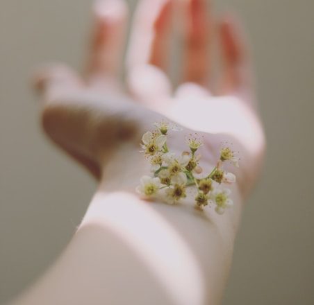 selective focus photography of white clustered flowers on left human hand