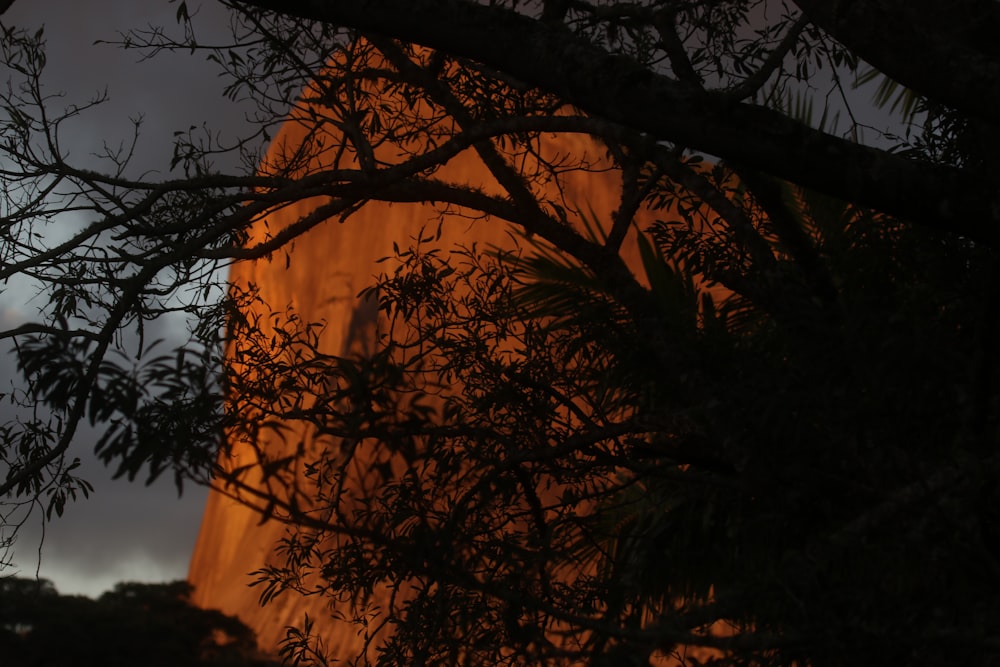 Formation rocheuse brune derrière un arbre par temps nuageux