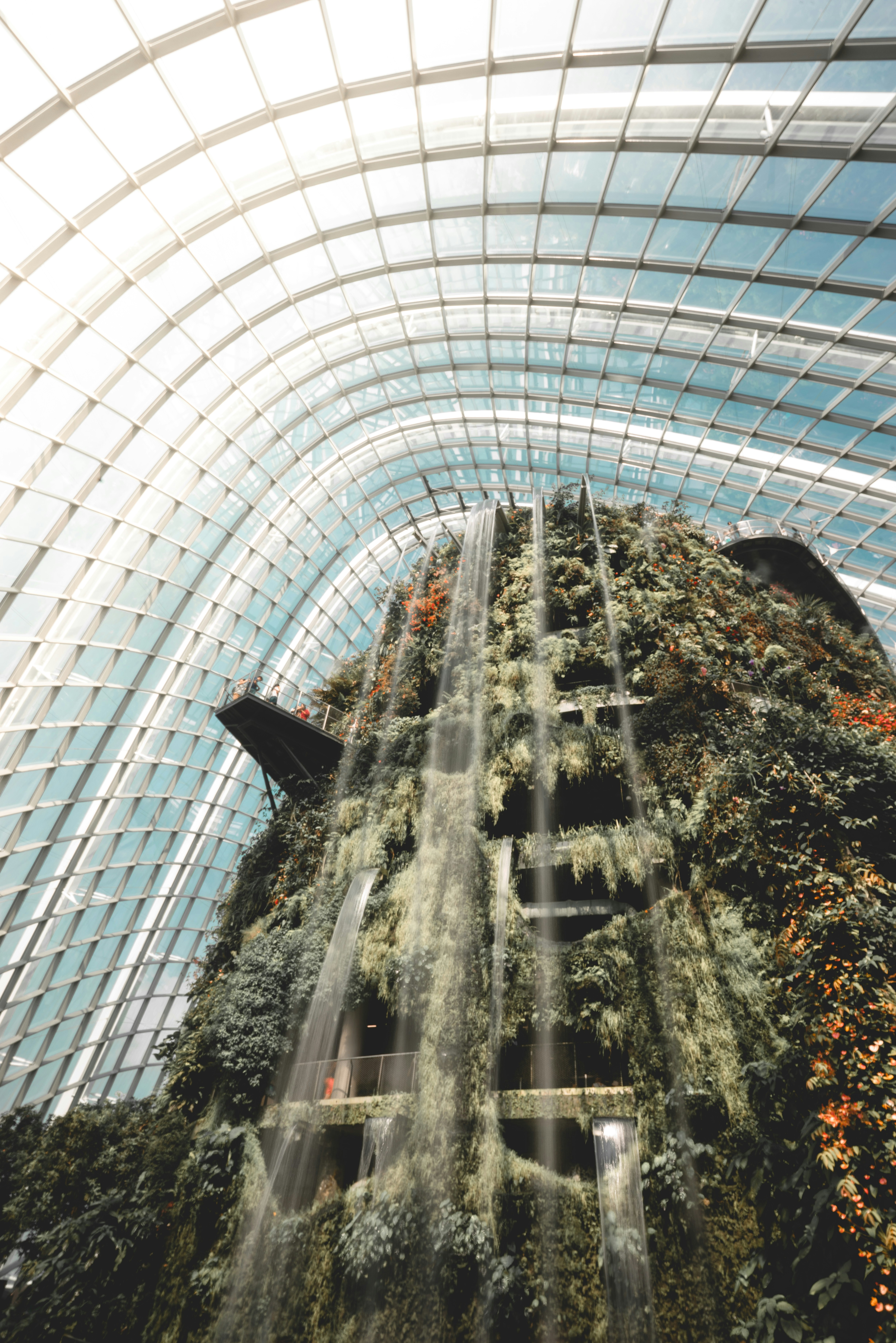 The Cloud Forest in Singapore is incredible! You feel like you are in year 3018. As I entered the bio-dome, I was greeted with this waterfall that rained down mist on everyone. I spent the rest of the time zig-zagging up skywalks to the top of the mountain in the middle.