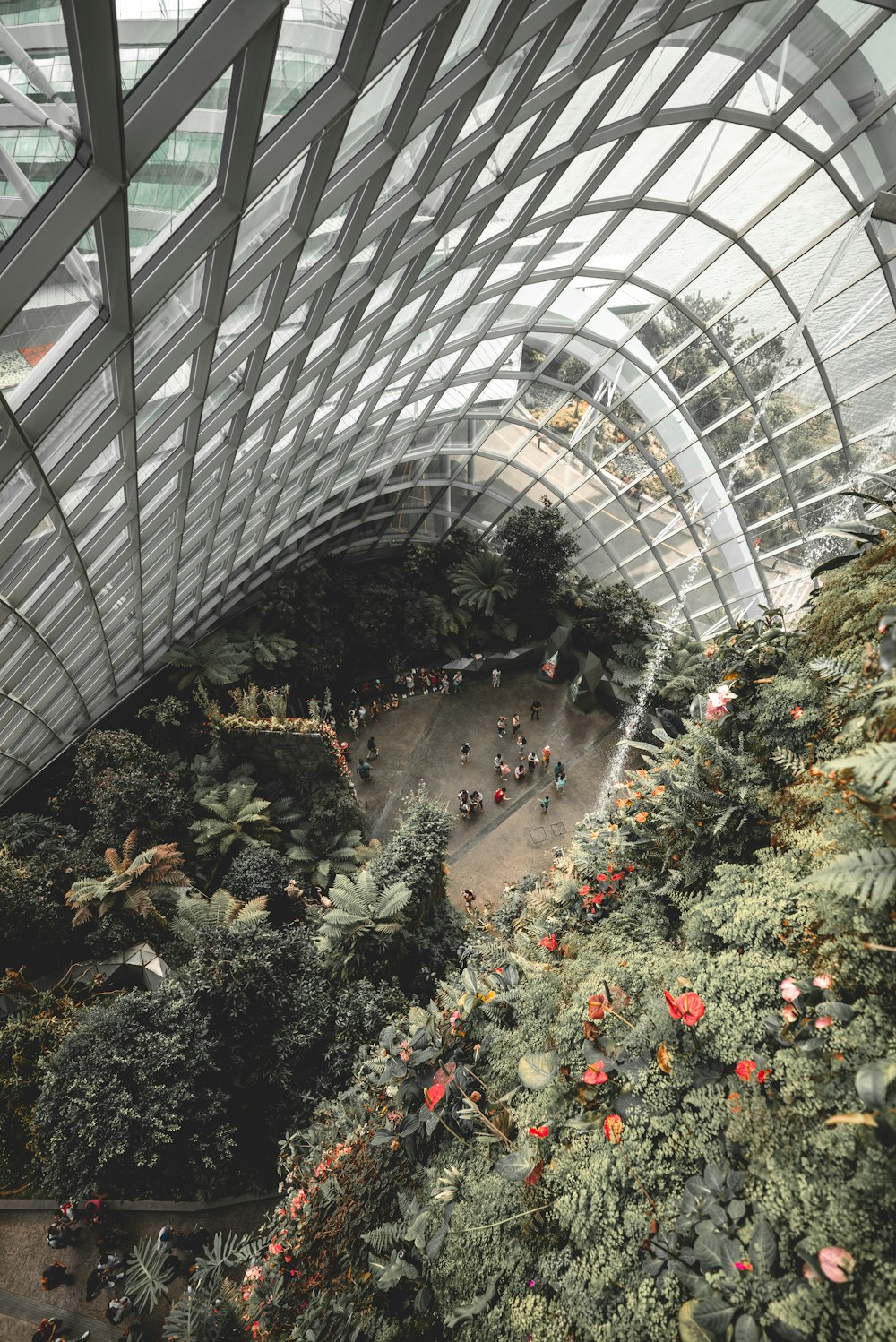 aerial photo of people on ground surrounded by flowers and trees during daytime