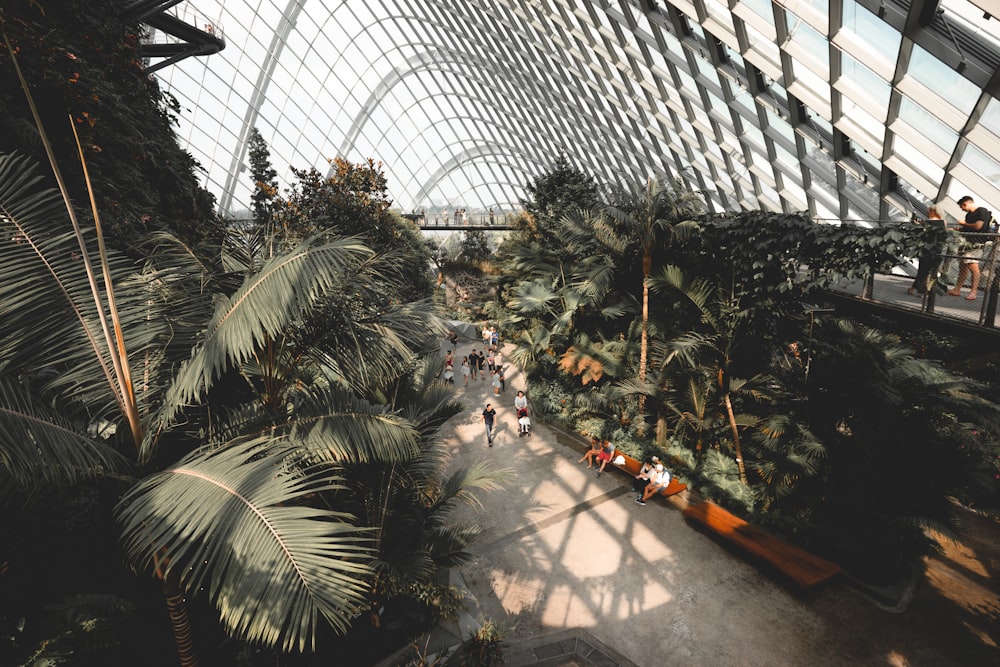 people walking at sitting inside the building while surrounded by palm trees