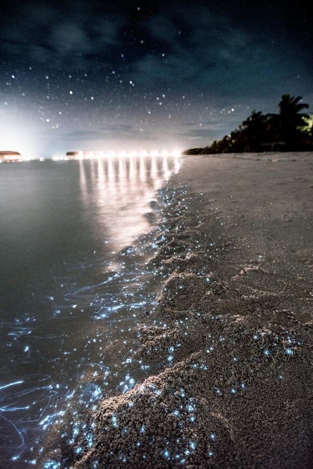 glowing beach, Maldives