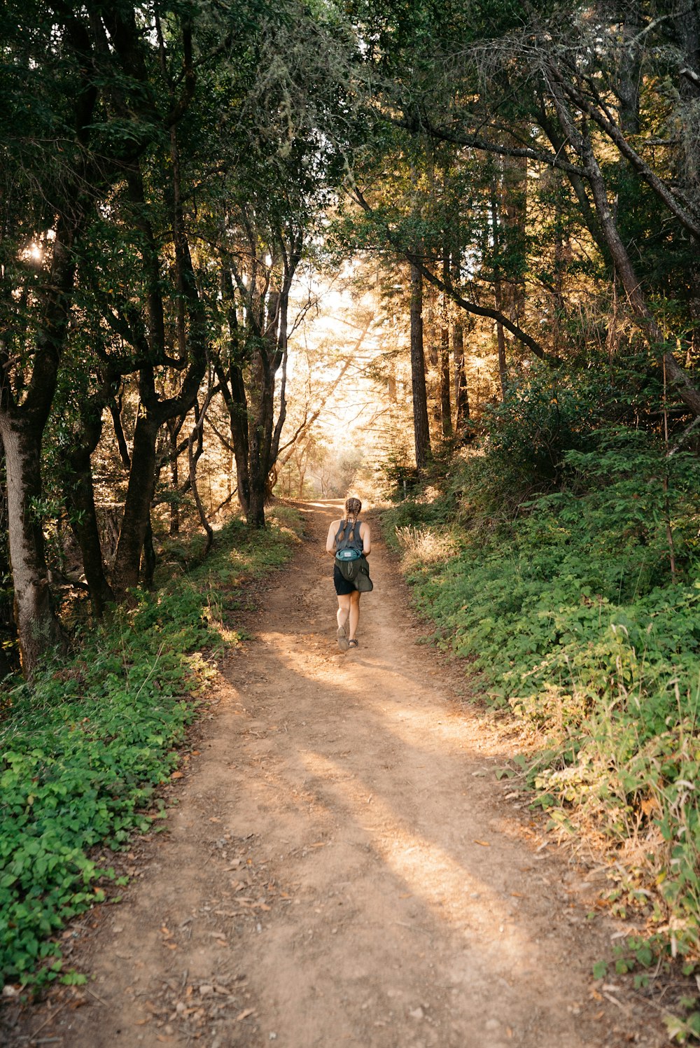 woman walking on pathway between tall trees at daytime