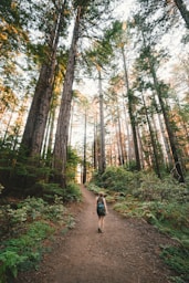 woman walking near plants and tall trees during daytime