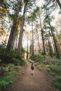 woman walking near plants and tall trees during daytime