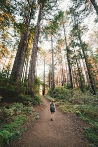 woman walking near plants and tall trees during daytime