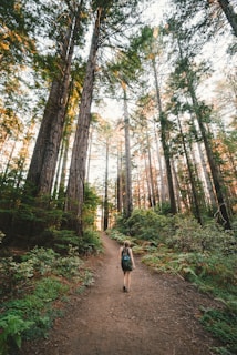 woman walking near plants and tall trees during daytime