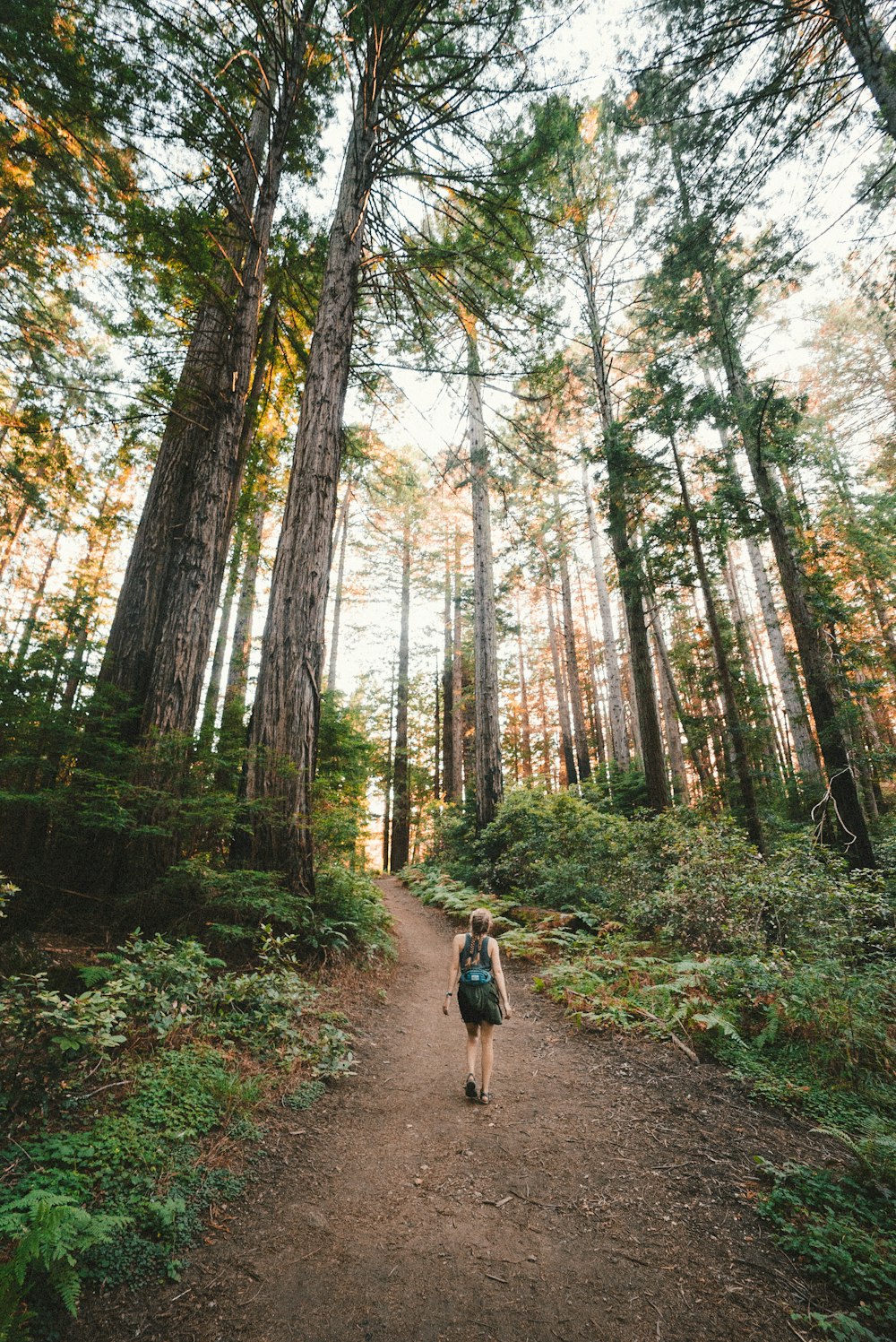 woman walking near plants and tall trees during daytime