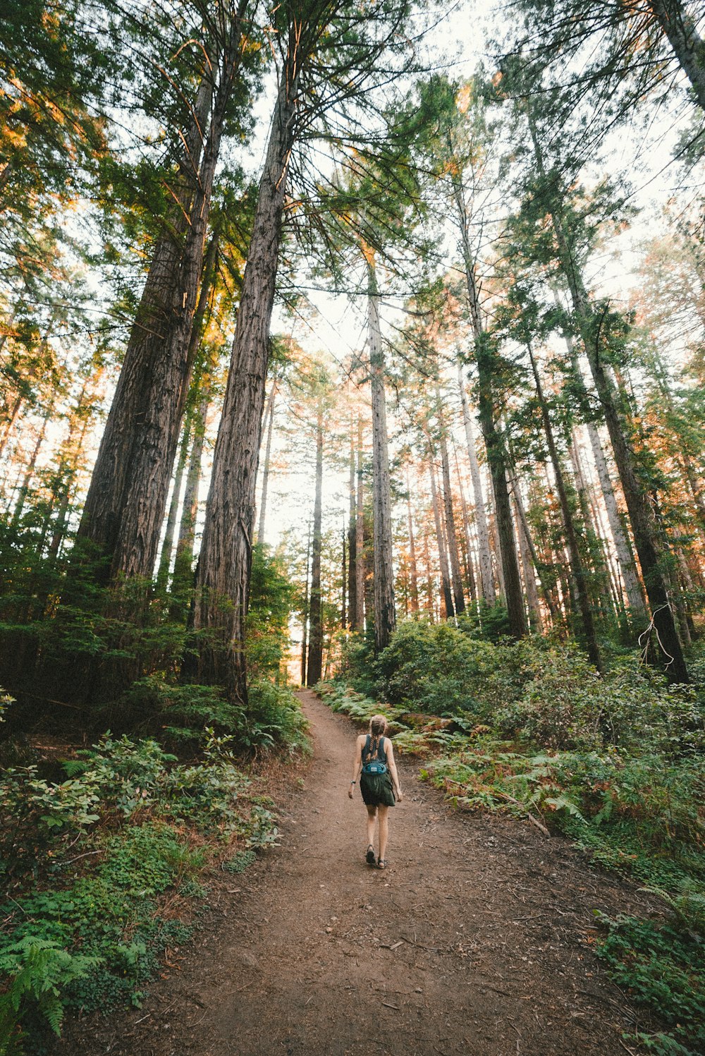 femme marchant près des plantes et des grands arbres pendant la journée