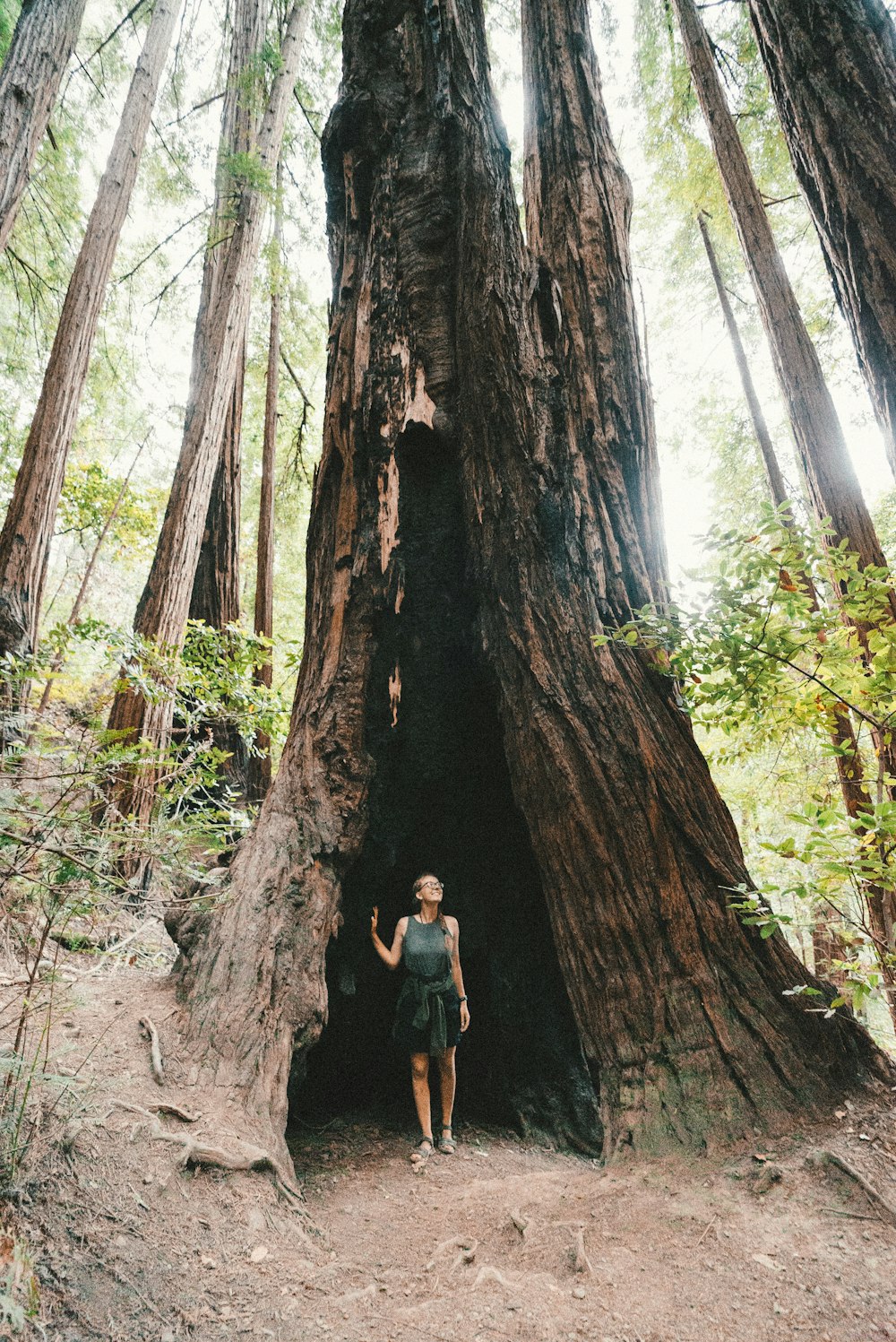 Femme debout sous une branche d’arbre sur la photo de mise au point