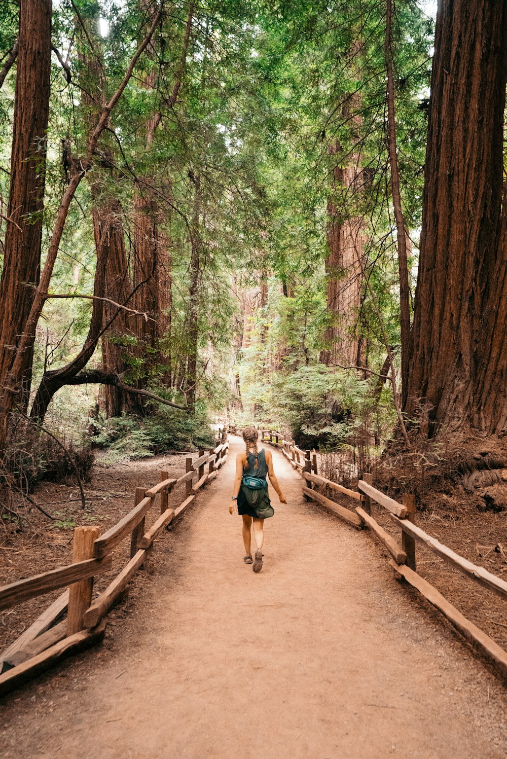 woman walking under green leaf tree during daytime