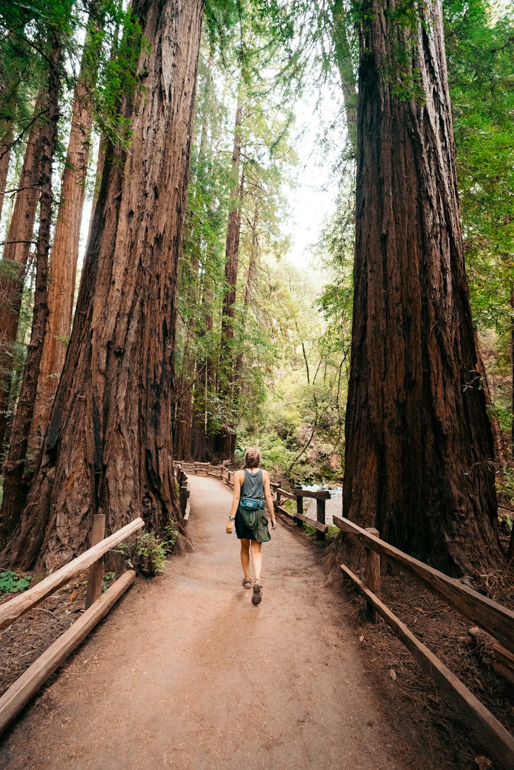 woman walking between trees under calming sky