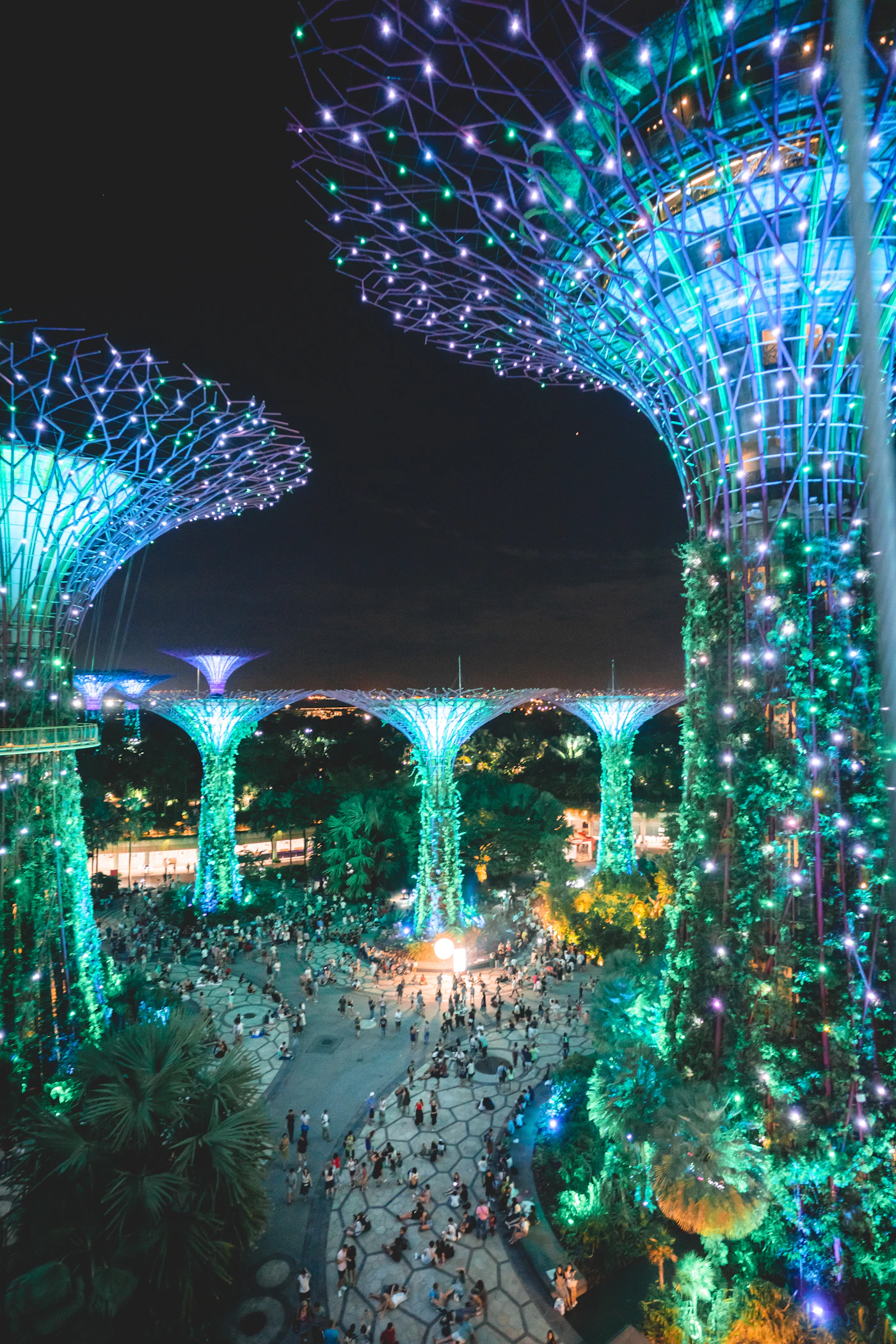 Supertree Grove illuminated at night in Gardens by the Bay, Singapore