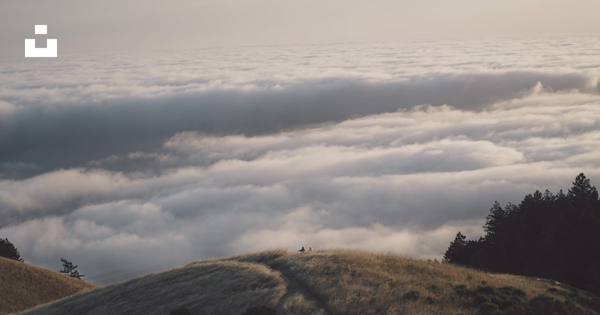 Blocchi Di Legno Marroni Su Superficie Bianca Photo – Photo Gris - Foto 7