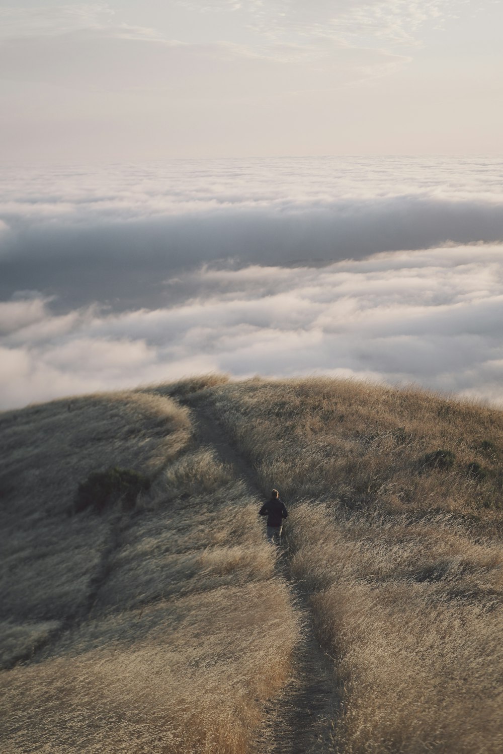 pessoa caminhando no topo da montanha com a vista do mar branco de nuvens