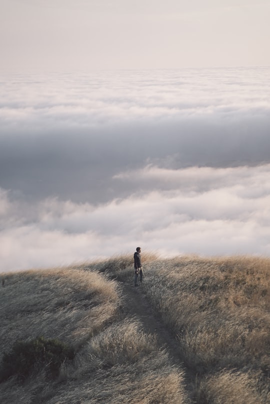 person near sea of clouds in Mount Tamalpais United States