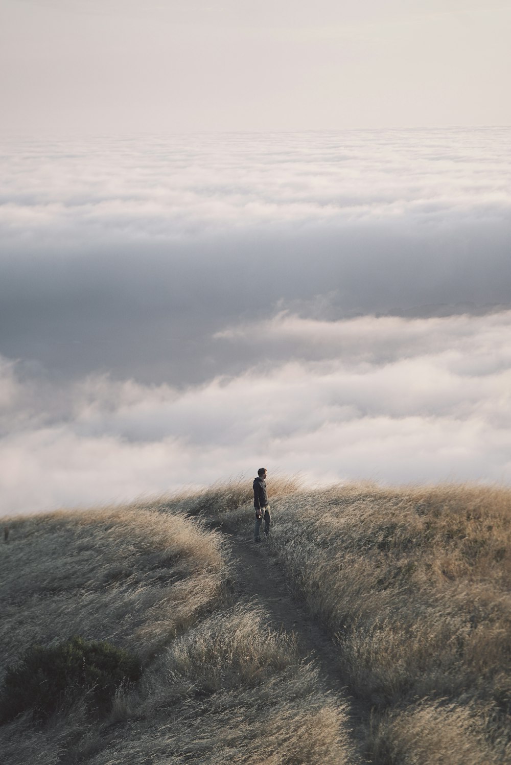 person near sea of clouds